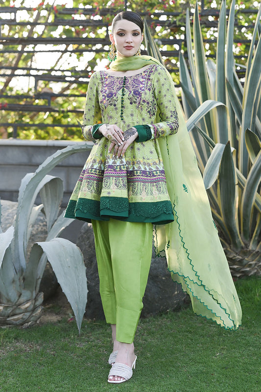 Kiwi Shirt and Dupatta