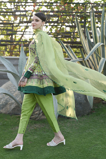 Kiwi Shirt and Dupatta