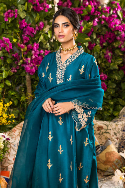 Parasailing Shirt and Dupatta