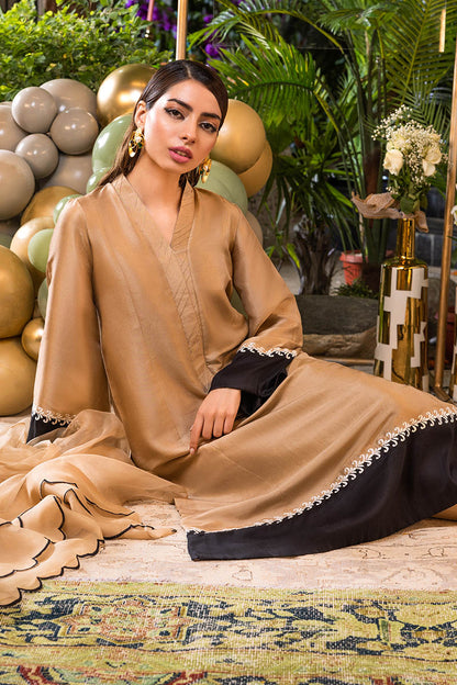 Shifting Sand Shirt and Dupatta