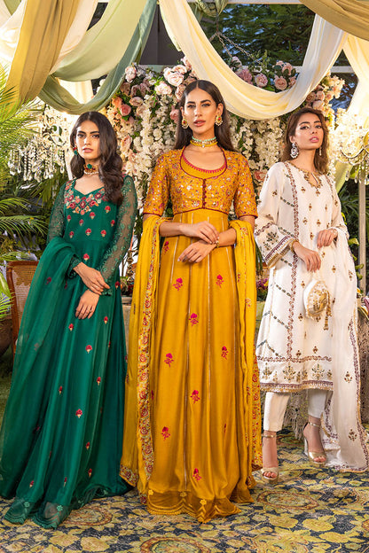 Apricot Kalidaar and Dupatta