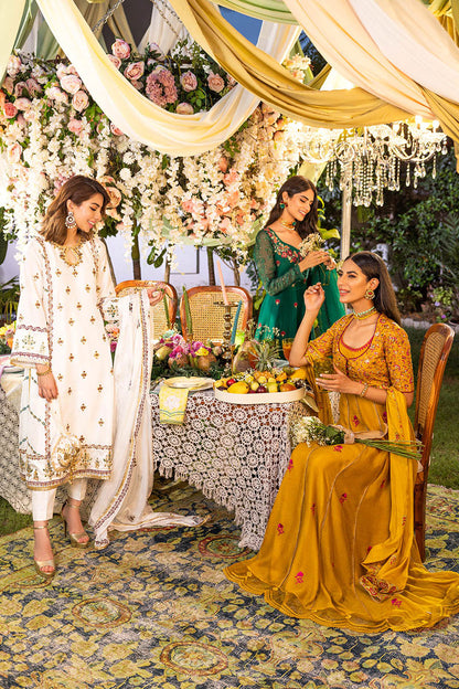 Apricot Kalidaar and Dupatta