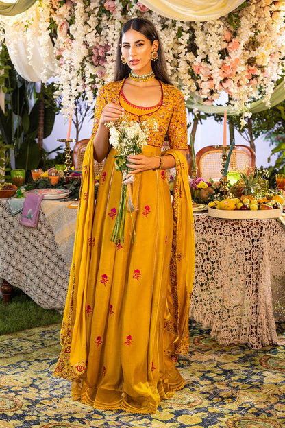 Apricot Kalidaar and Dupatta