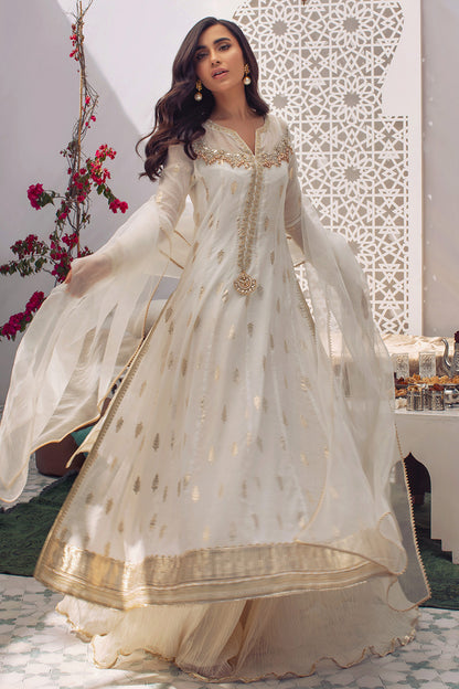 Organza Oasis Shirt and Dupatta