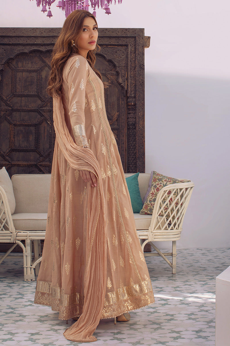 Taupe Kalidar and Dupatta
