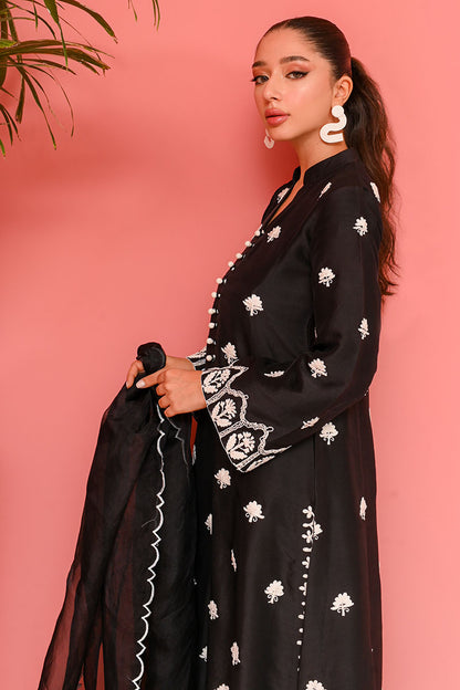Ayla Shirt and Dupatta