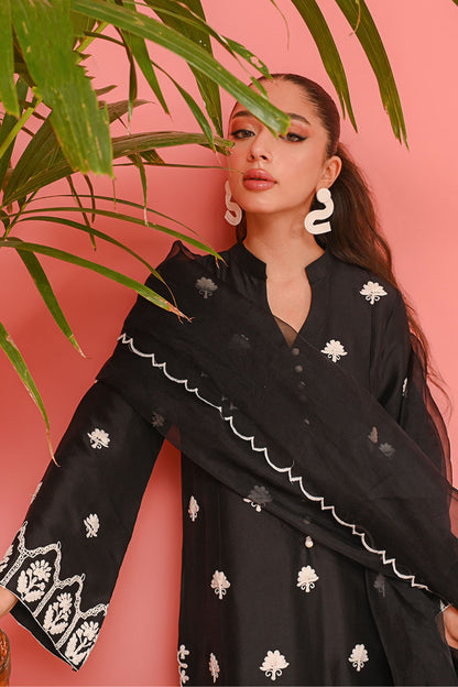 Ayla Shirt and Dupatta