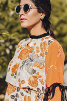 Picture of Summer lilly