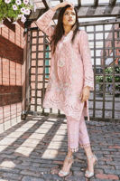Picture of Dusty pink straight kameez