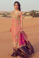 Picture of Zeb un Nissa