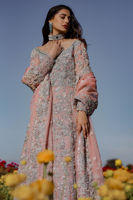 Picture of Blush pink kalidaar