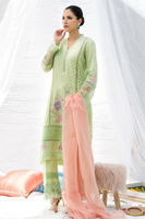 Picture of Mint chikan