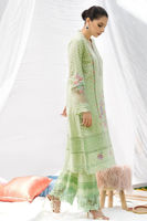 Picture of Mint chikan