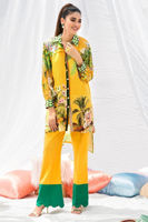 Picture of Mustard palm