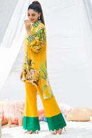 Picture of Mustard palm