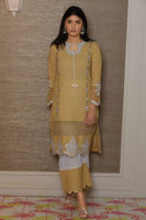 Picture of Hyderabadi chikan