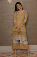 Picture of Hyderabadi chikan