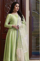 Picture of Mystery green