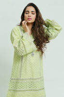 Picture of Bells of Ireland