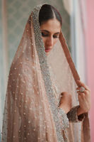 Picture of Mini rose