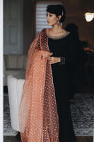 Picture of Dead Rose