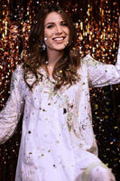 Picture of Pistachio beamer