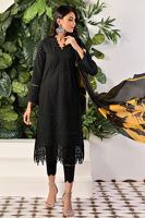 Picture of Midnight melody