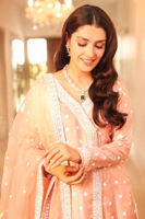 Picture of Malmaison rose rush