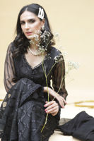 Picture of Black array