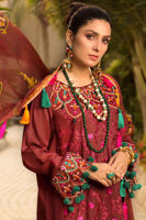 Picture of Shala