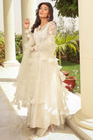 Picture of Morning Glory