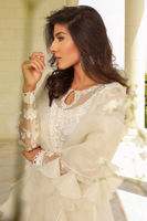 Picture of Morning Glory