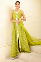 Picture of Midnight Bloom