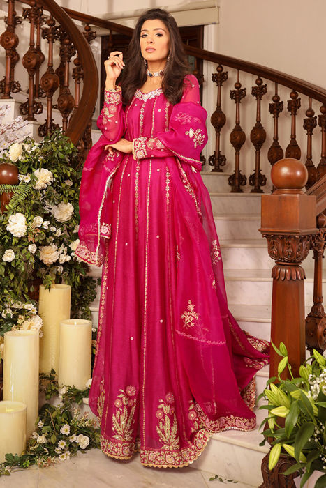 Picture of Star Shine