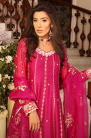 Picture of Star Shine