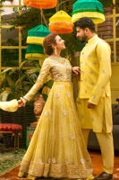 Picture of Sunflower Bloom