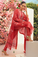 Picture of Water Rose