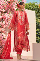 Picture of Water Rose