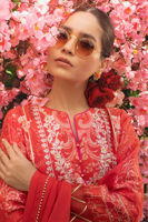 Picture of Water Rose