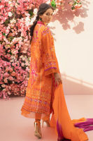 Picture of Fairy Meadows