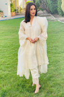 Picture of White Bird