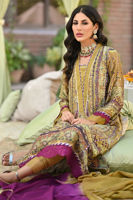 Picture of Golden Oak