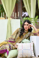 Picture of Golden Oak