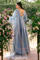 Picture of Periwinkle Bloom