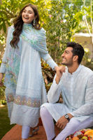 Picture of Spruce - Man