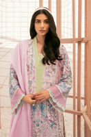 Picture of Orchid Bloom