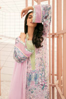 Picture of Orchid Bloom