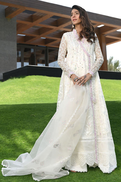 Picture of Cloud dancer