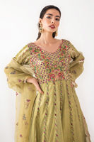 Picture of Paradise Green