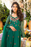 Picture of Ivy green